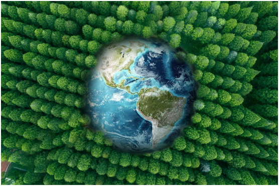 世界地球日丨斯宝一号润滑油，以科技驱动低碳环保